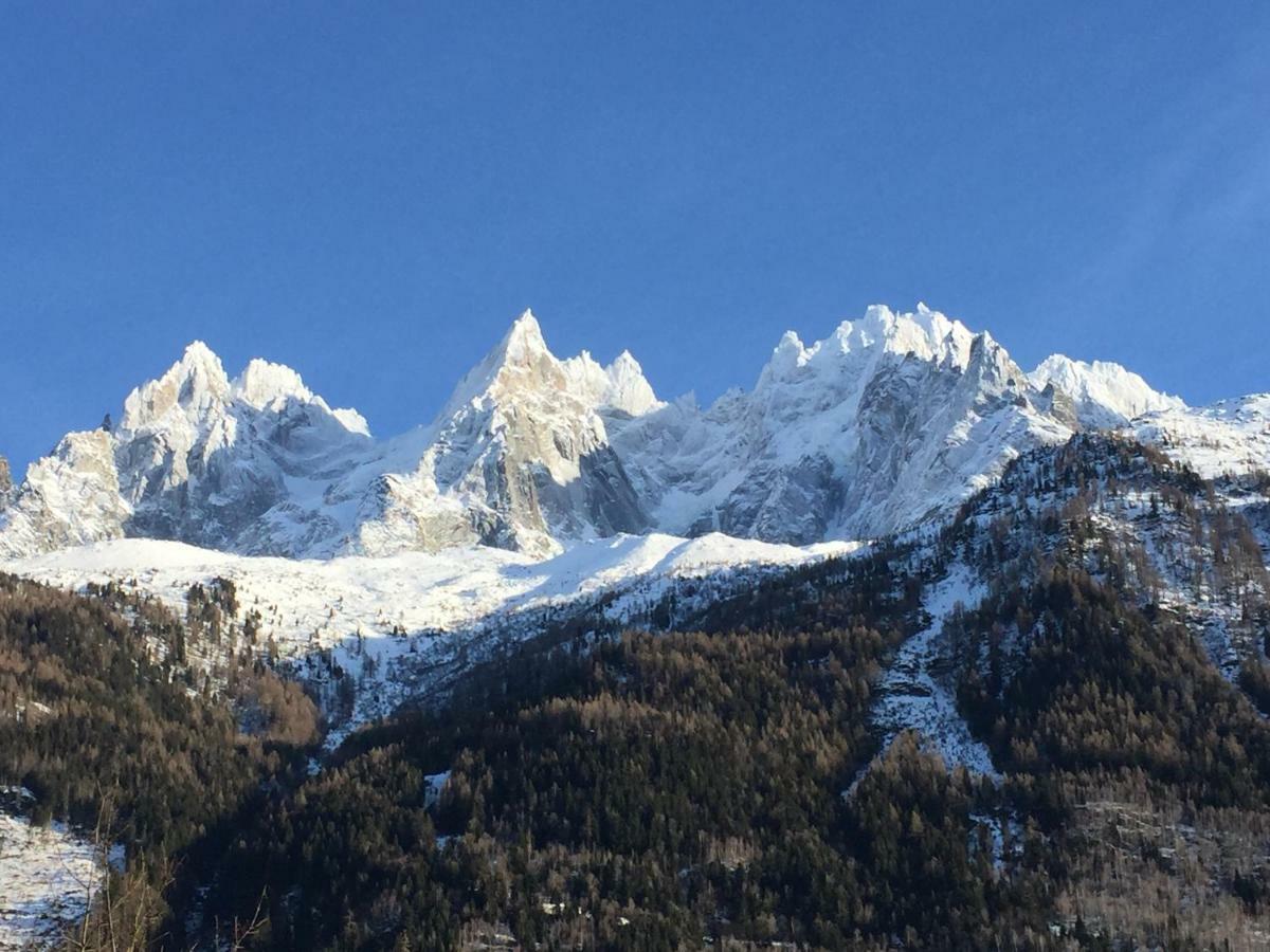 Le Petit M Chamonix Au Pied Du Brevent Apartment Bagian luar foto